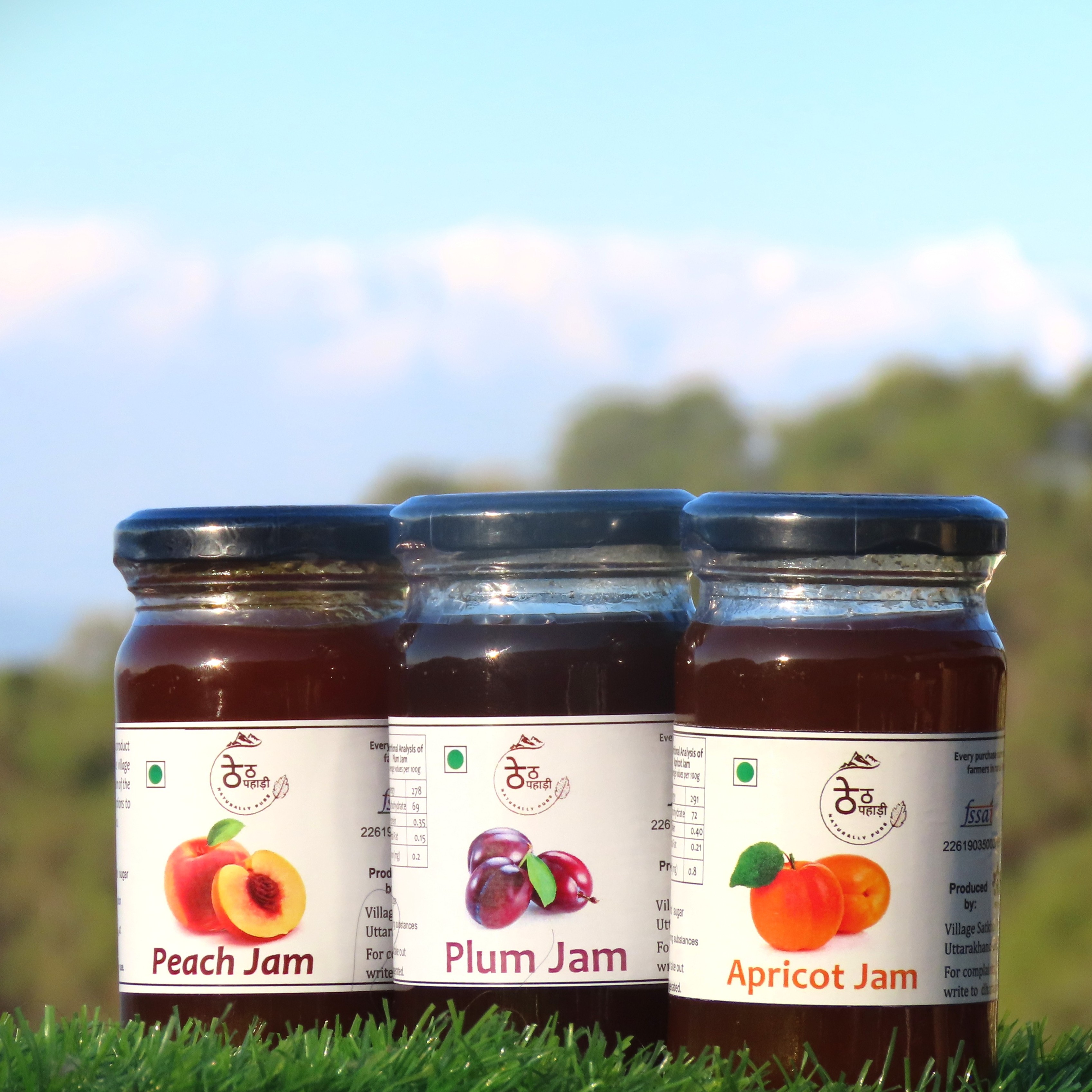 Mountain Fruit Jams
